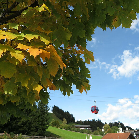 gondelbahn-schatzberg2.JPG  